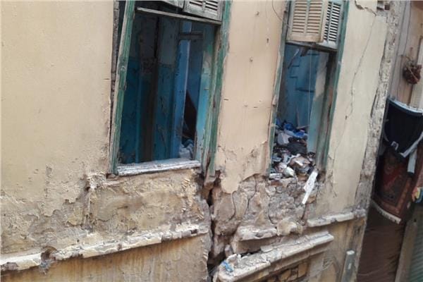 شركة معالجة العفن