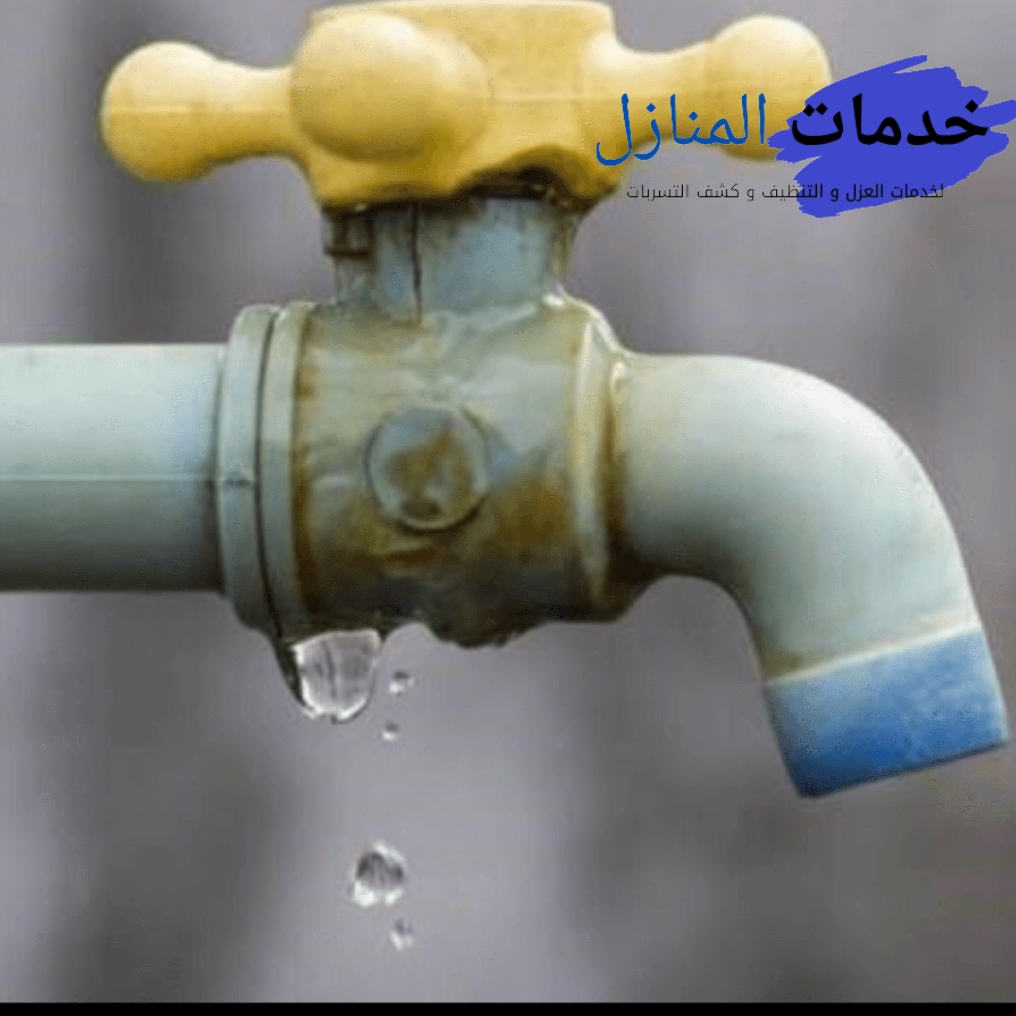 الرطوبة في الجدران