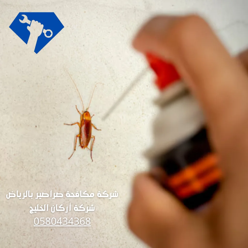 شركة مكافحة الصراصير بالرياض